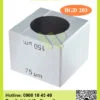 DỤNG CỤ KÉO SƠN CUBE BGD 203